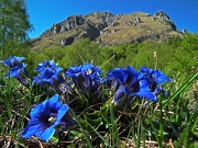 Riuniti in GRIGNETTA (2177 m.), salita in quattro da tre vie diverse, 16-04-2012